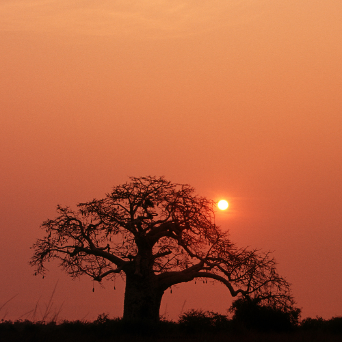 Angola Group Trip |13 Weeks Travel Group trips to Africa
