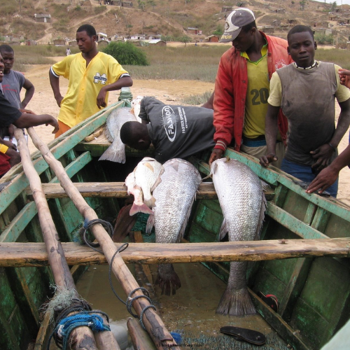 Angola Group Trip (3)