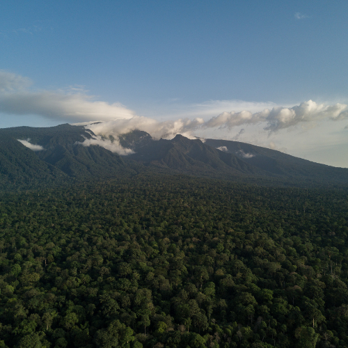 Equatorial Guinea Group Trip (2)