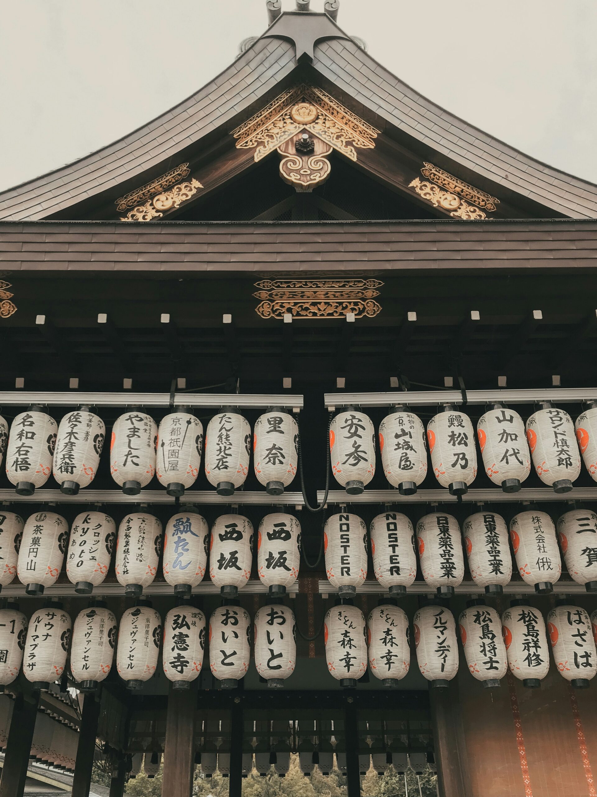 Japan Group Trip