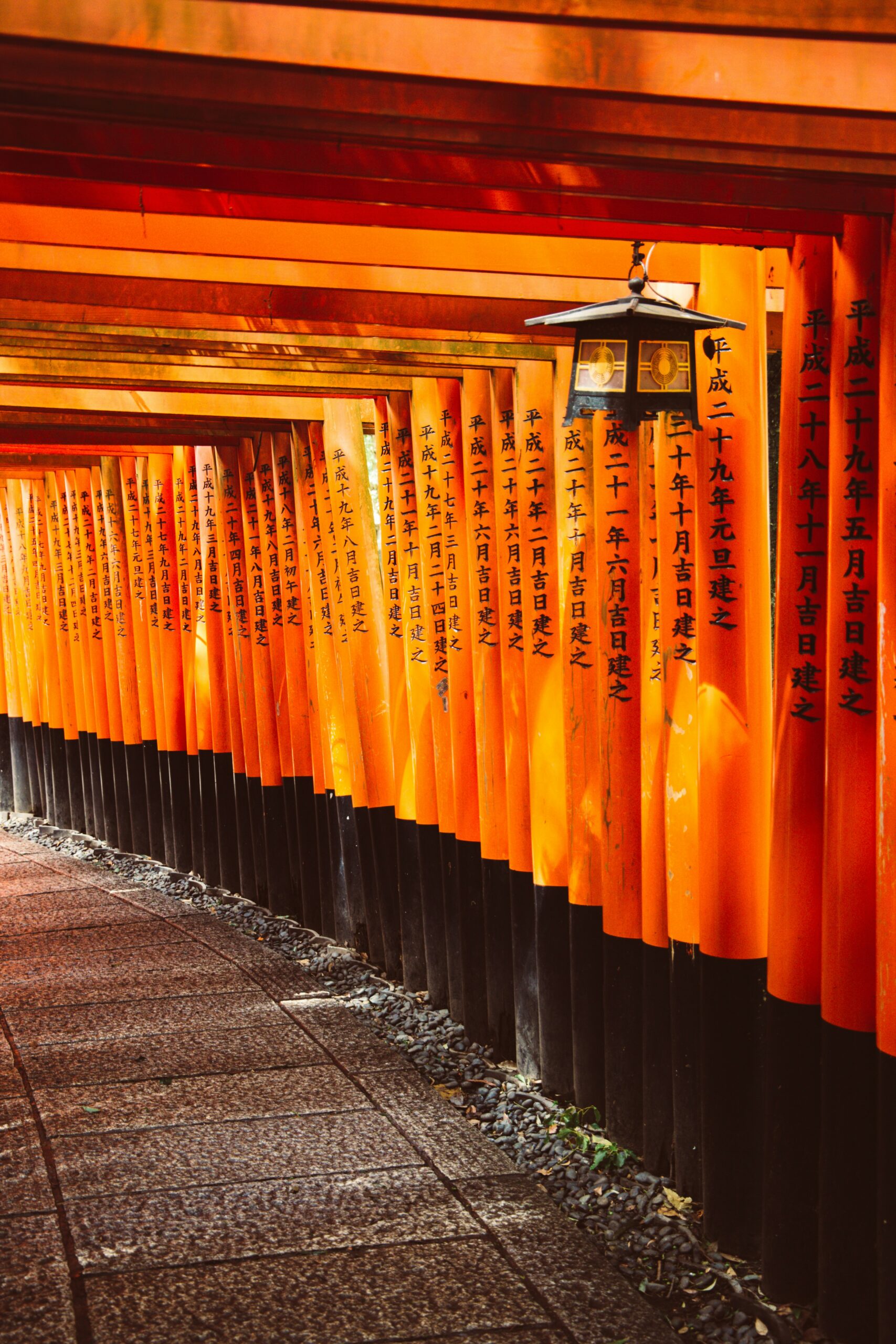 Japan Group Trip with 13 Weeks Travel
