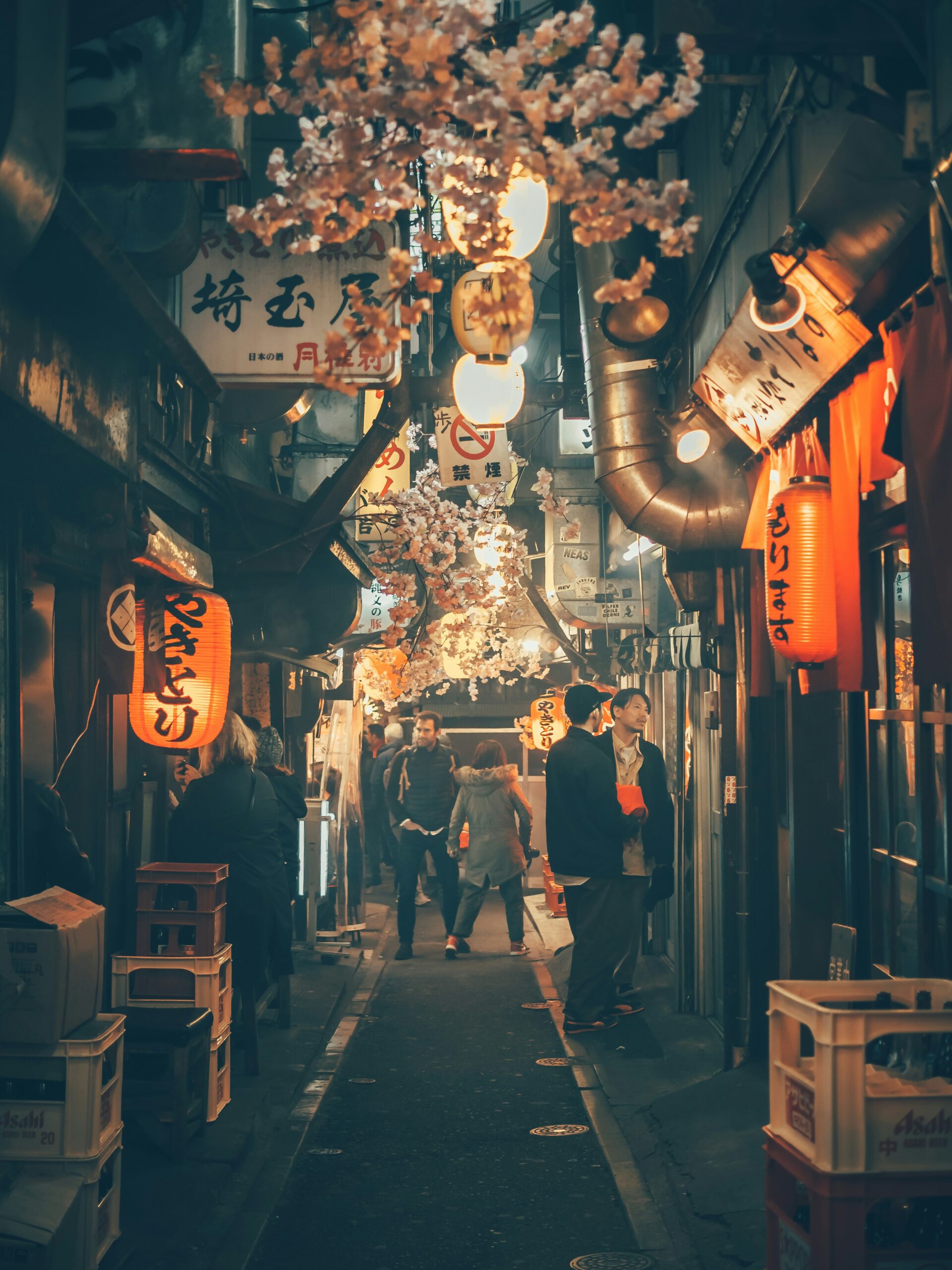 Japan Group Trip | 13 Weeks Travel